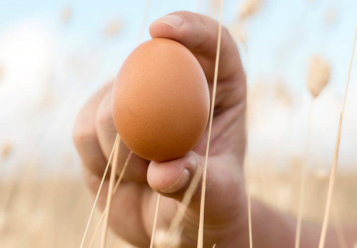 NEM – Nature's Miracle Natural Joint Support