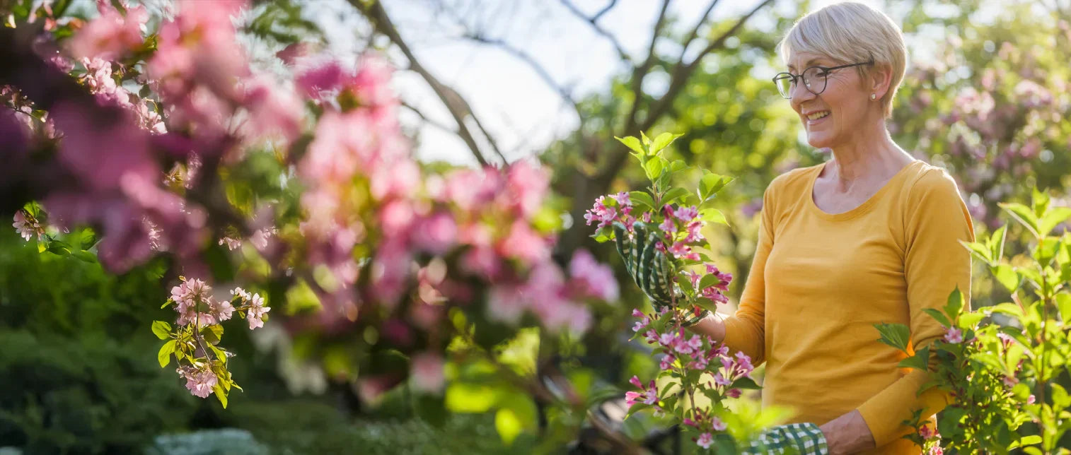 Liv’s Go-To for Seasonal Sinus Support