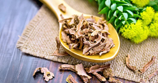 Rhodiola: The Resilience Herb