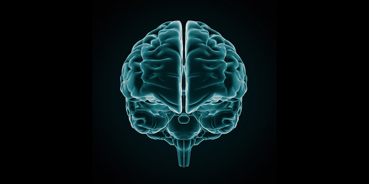 Cognitive Health Impacts Our Quality of Life