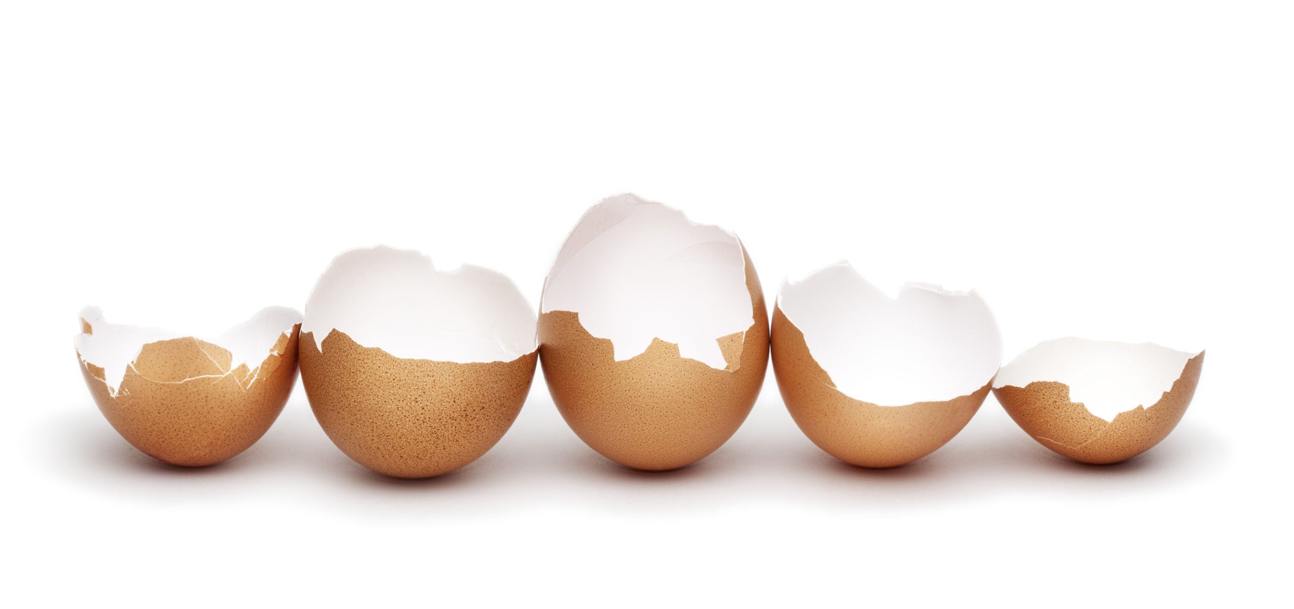 Why is Eggshell Calcium Better?
