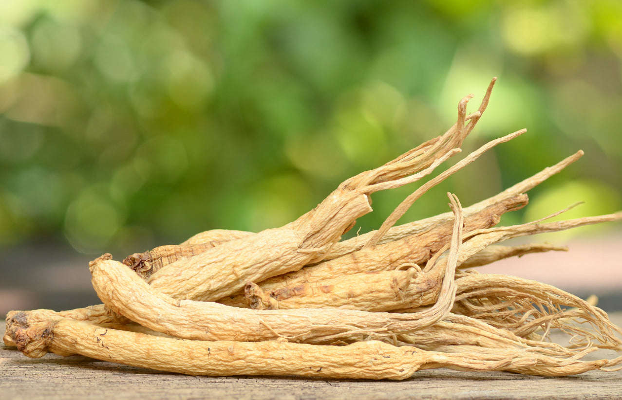 Panax Ginseng (Asian Ginseng)