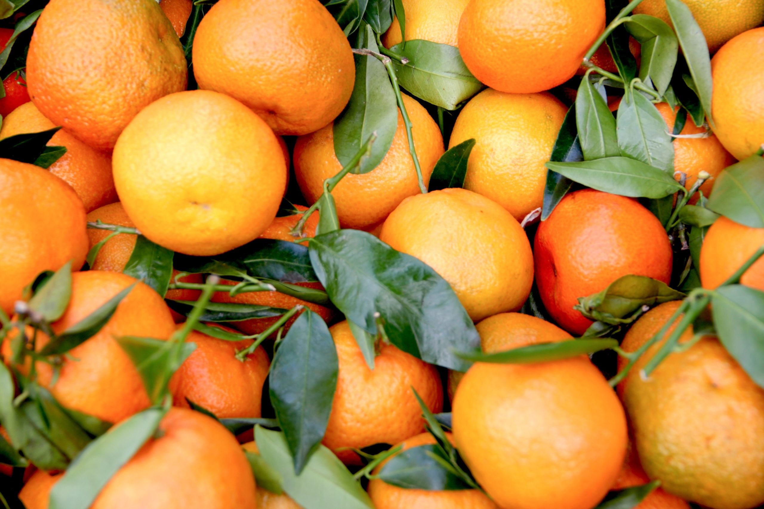Myth Busted: Vitamin C Does Not “Boost” Your Immune System… It Protects It…